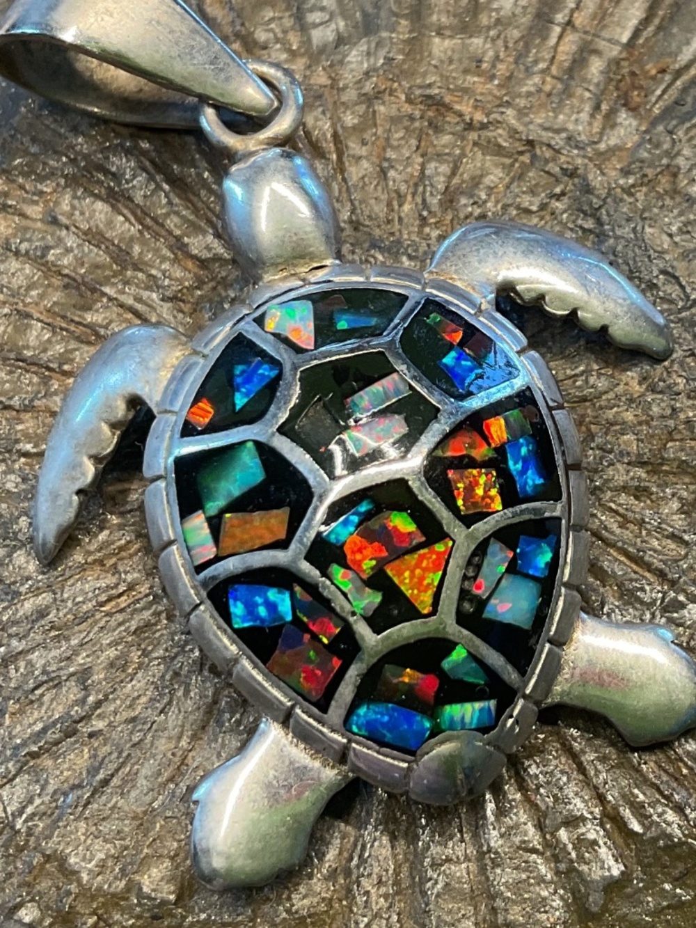 Taxco turtle - Picture 2 of 3